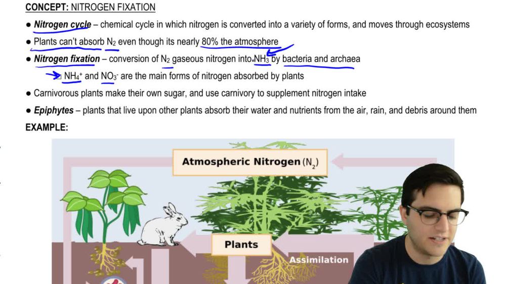 Nitrogen Cycle