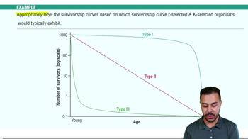 r/K Selection Example 1