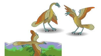 Animation: Overview of Macroevolution