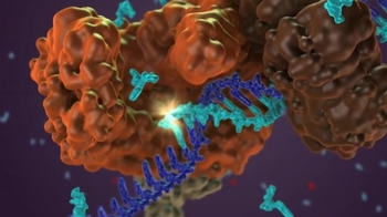 BioFlix: DNA Replication