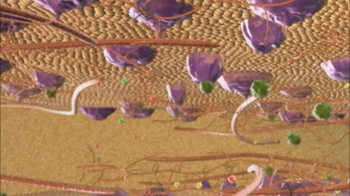 BioFlix: Membranes (extracellular matrix)