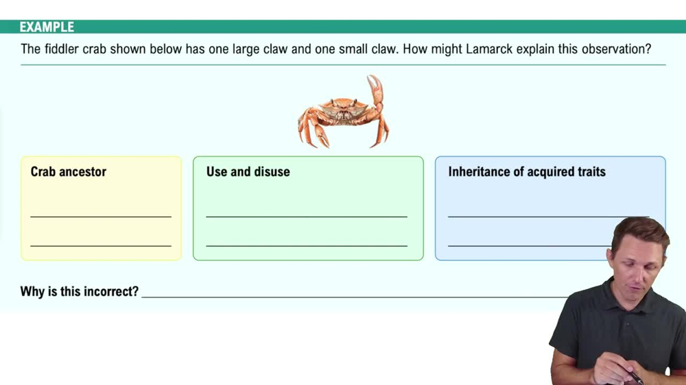History of Evolutionary Theory Example 1
