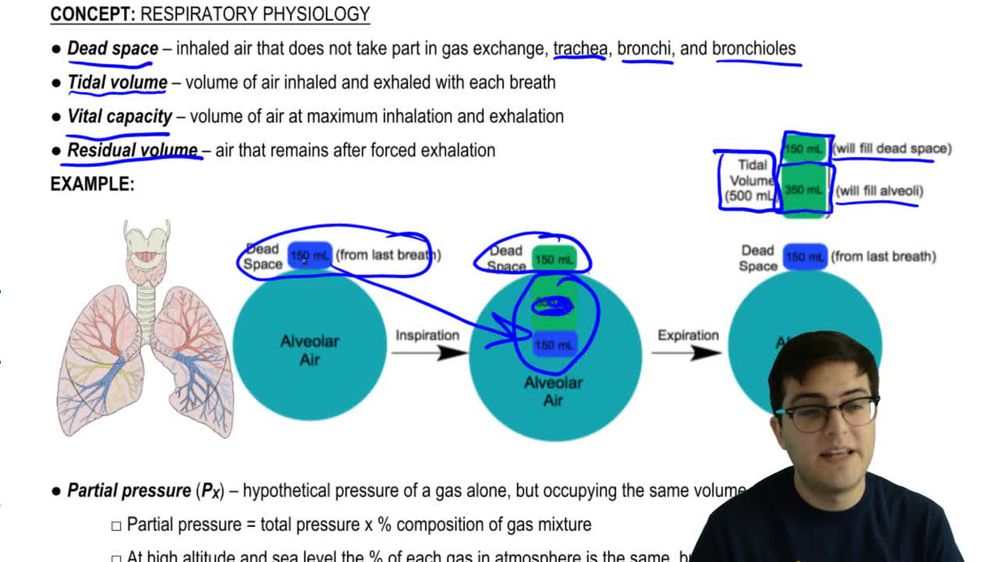 Air Movement and Partial Pressure