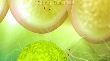 BioFlix: Summary of Adaptive Immunity