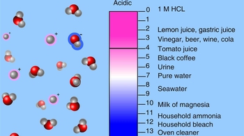 Animation: Acids, Bases, and pH