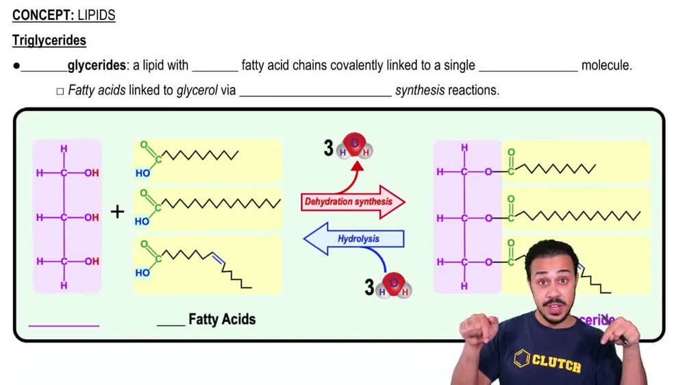 Triglycerides