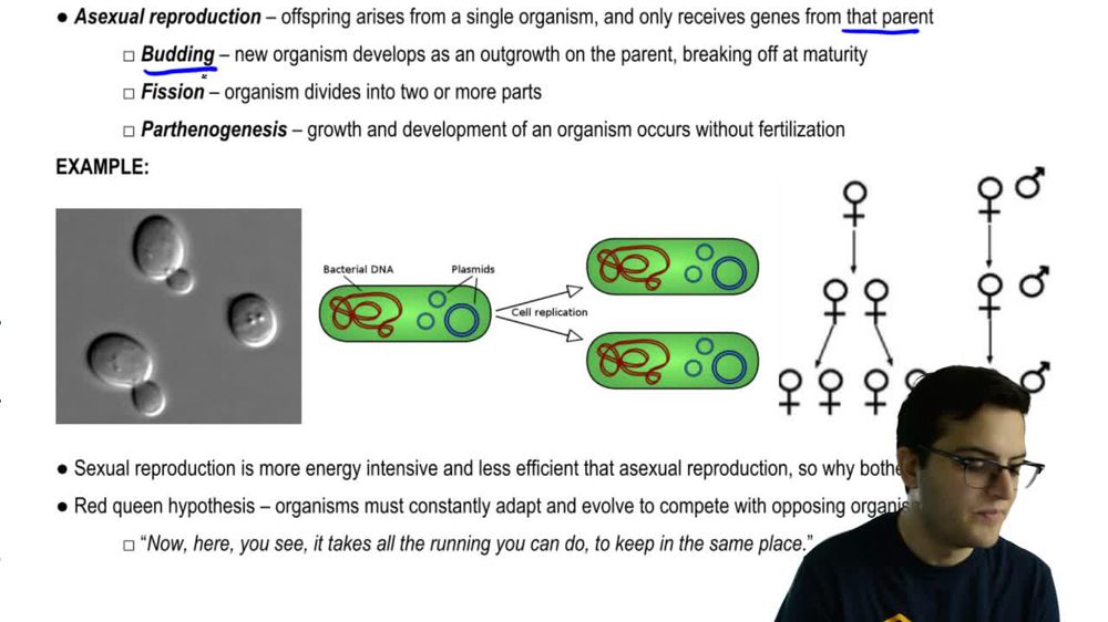 Sexual and Asexual Reproduction