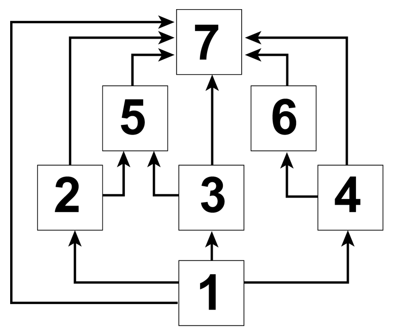 Food web diagram showing primary producer, apex predator, decomposer, and primary consumer.