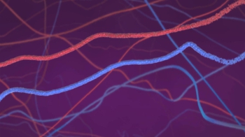 BioFlix: Meiosis Interphase