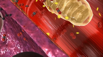 BioFlix: Gas Exchange in the Human Body