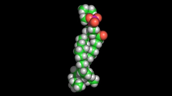 Animation: Space-Filling Model of Chlorophyll