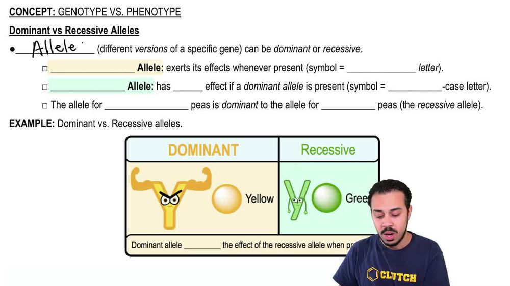 Dominant vs. Recessive Alleles
