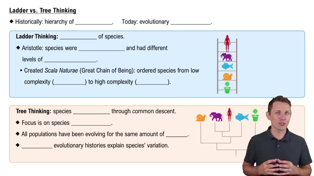 Ladder vs. Tree Thinking