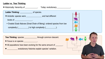 Ladder vs. Tree Thinking