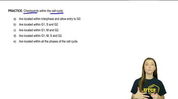 Cell Cycle Regulation Practice 2