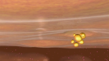 BioFlix: Exocytosis and Endocytosis