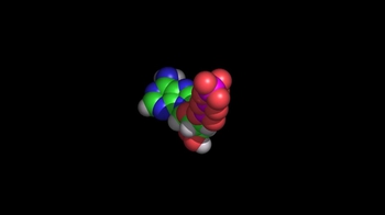 Animation: Space-Filling Model of ATP