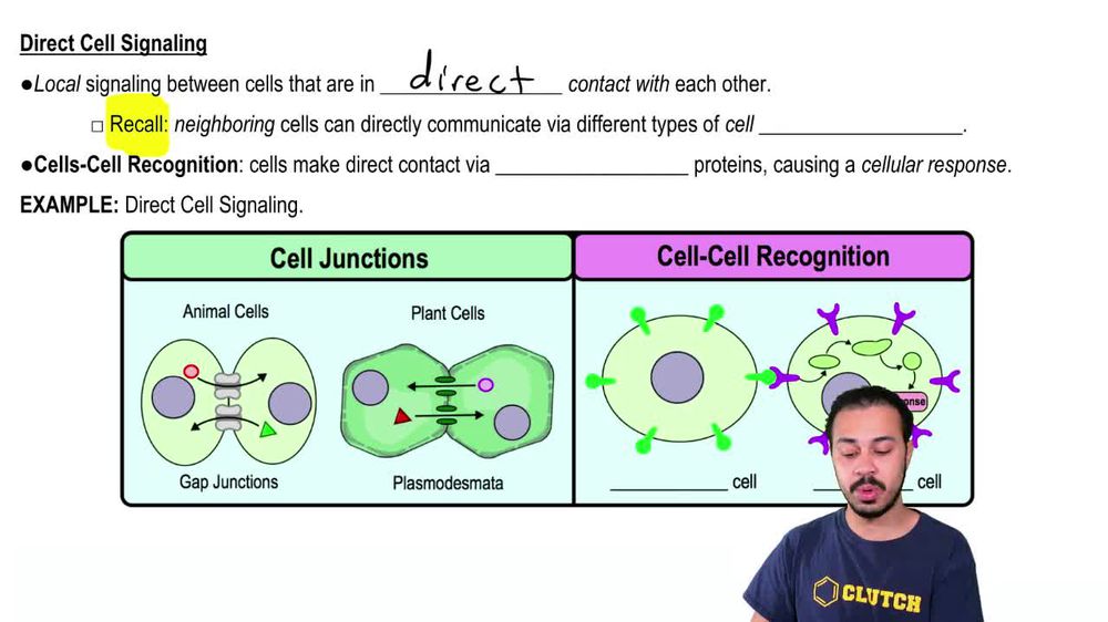Direct Cell Signaling