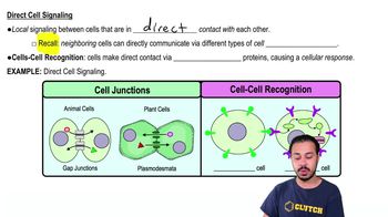 Direct Cell Signaling