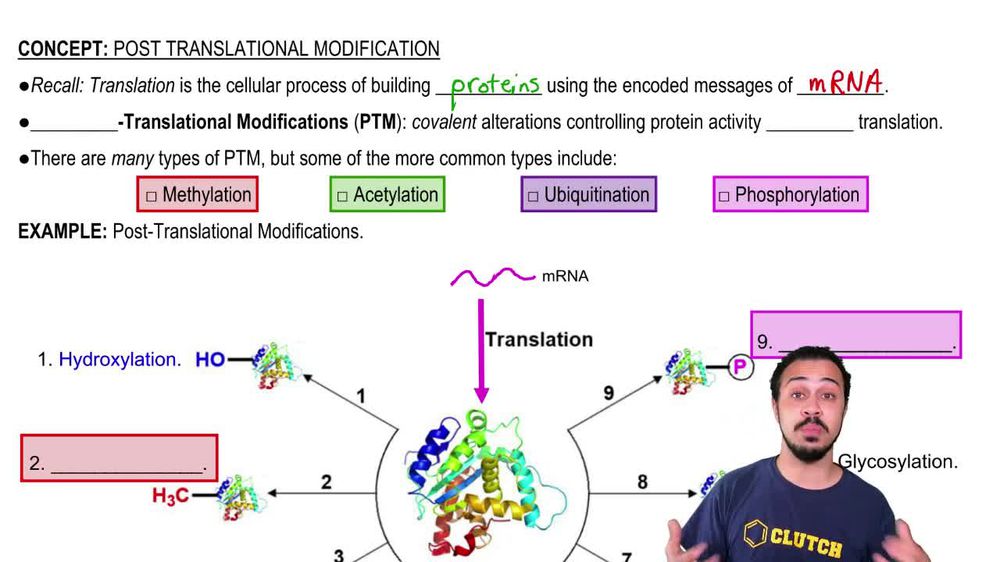 Post-Translational Modification