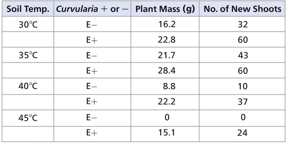 Table showing plant mass and new shoots of grass with and without Curvularia at various soil temperatures.