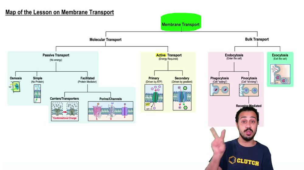 Map of the Lesson on Membrane Transport