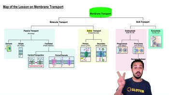 Map of the Lesson on Membrane Transport