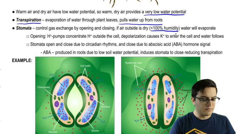 Water Potential in Soil and Air