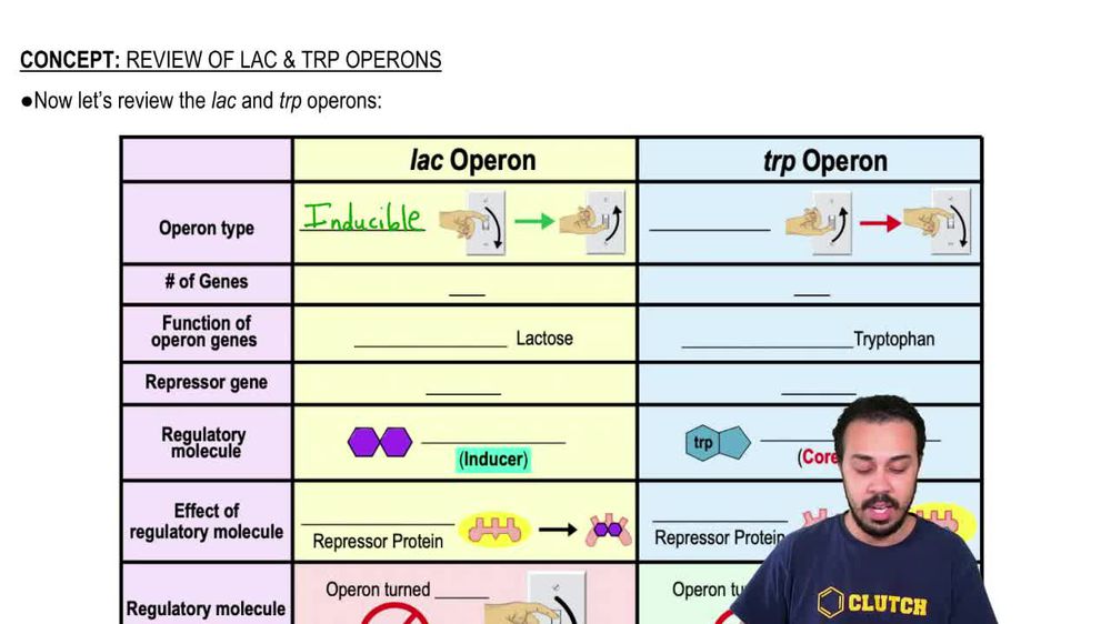 Review of the Lac Operon & Trp Operon