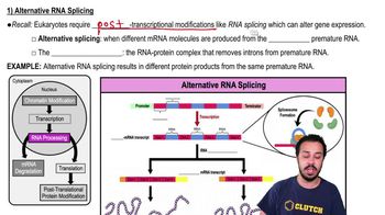 1) Alternative RNA Splicing