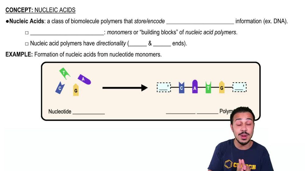 Nucleic Acids