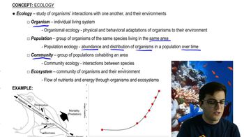 Ecology