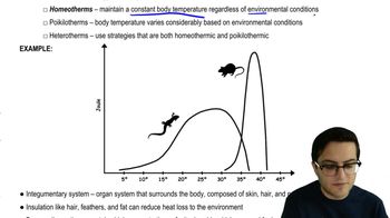 Thermoregulation