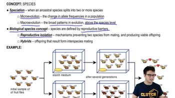 Biological Species