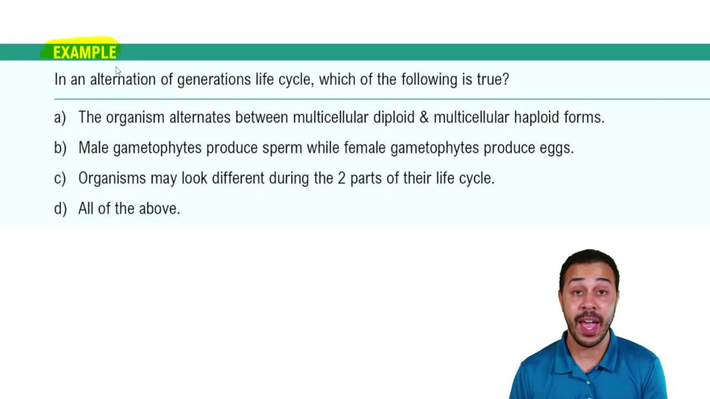 Protist Life Cycles Example 2
