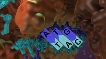 BioFlix: Synthesis of the Leading Strand