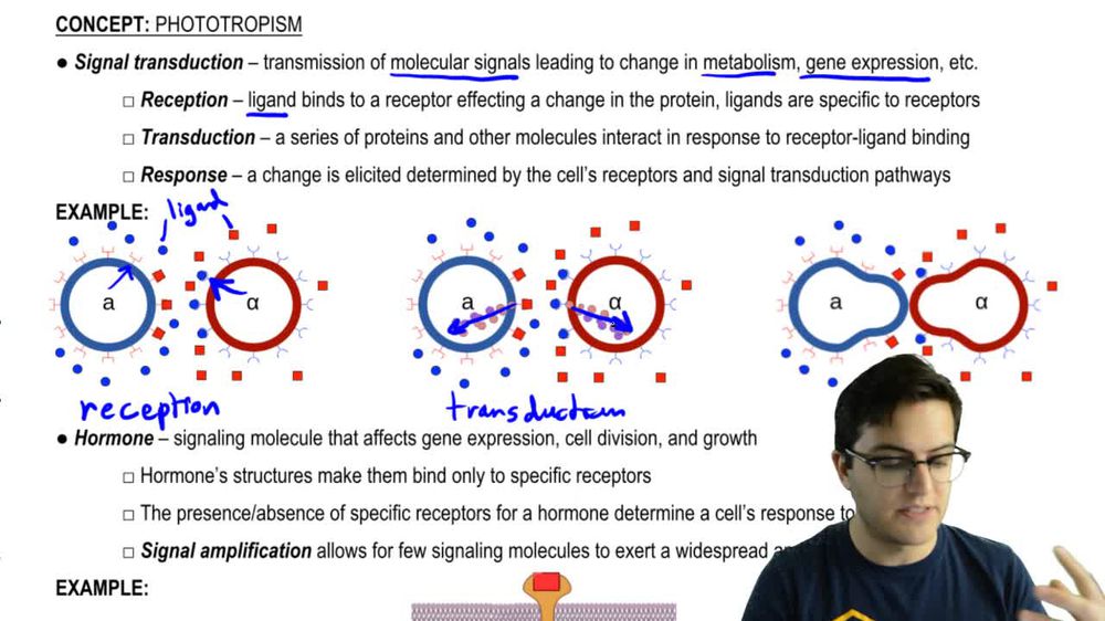 Signal Transduction and Response