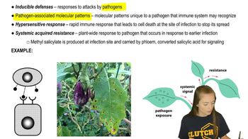 Pathogen Defenses