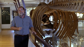 HHMI BioInteractive: The Origin of Species: The Making of a Theory