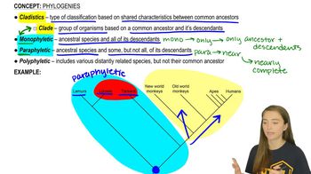 Cladistics