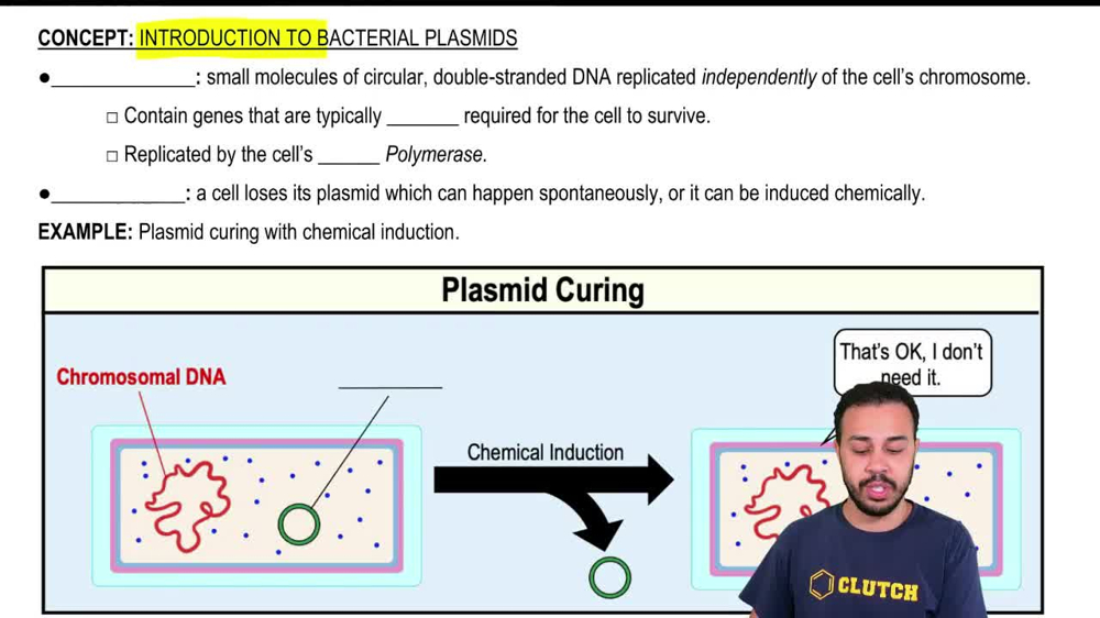 Introduction to Bacterial Plasmids