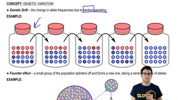 Genetic Drift