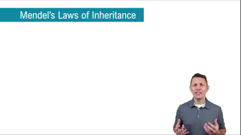 Mendel’s Laws