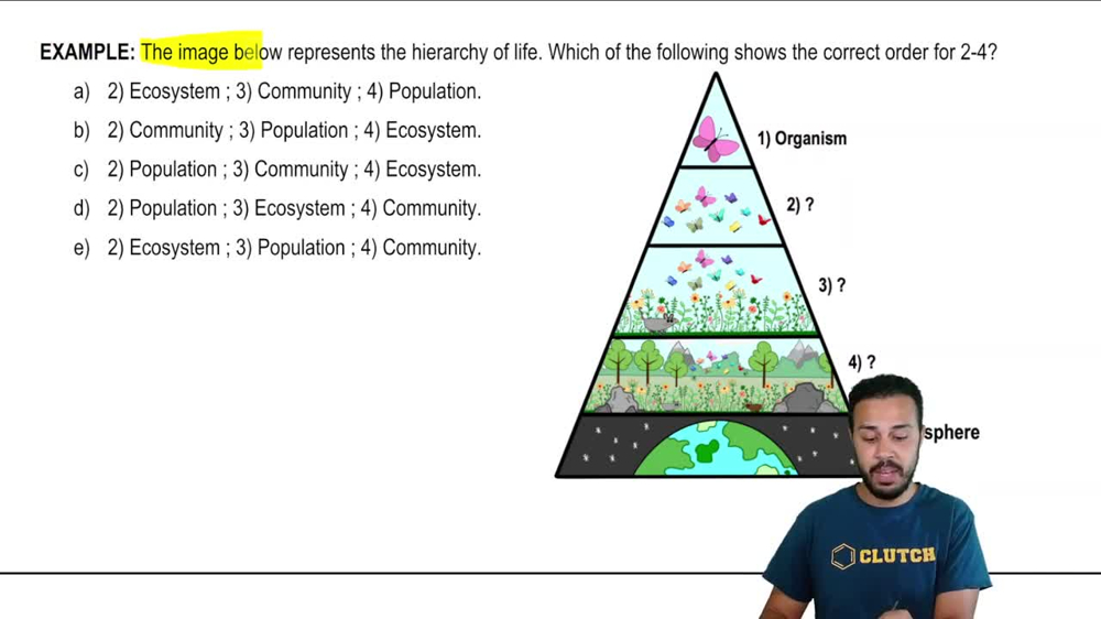 Life's Organizational Hierarchy Example 1