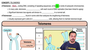 Telomeres