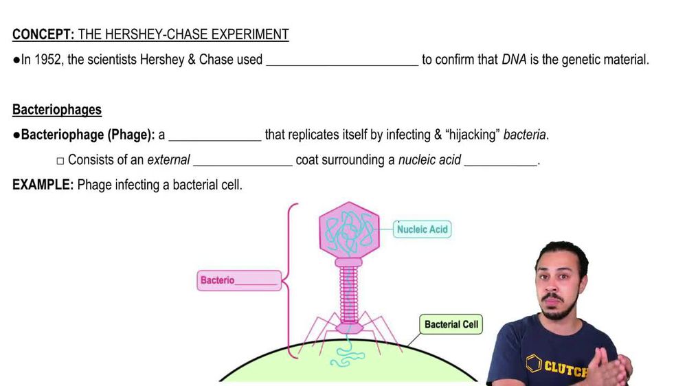 Bacteriophages
