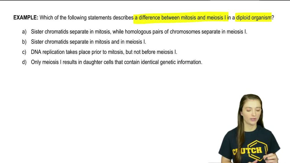 Mitosis & Meiosis Review Example 1
