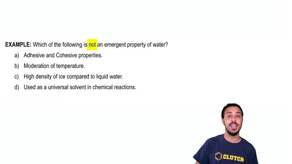 Introduction to Water Example 1