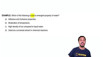 Introduction to Water Example 1