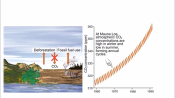 Animation: The Global Carbon Cycle and the Greenhouse Effect